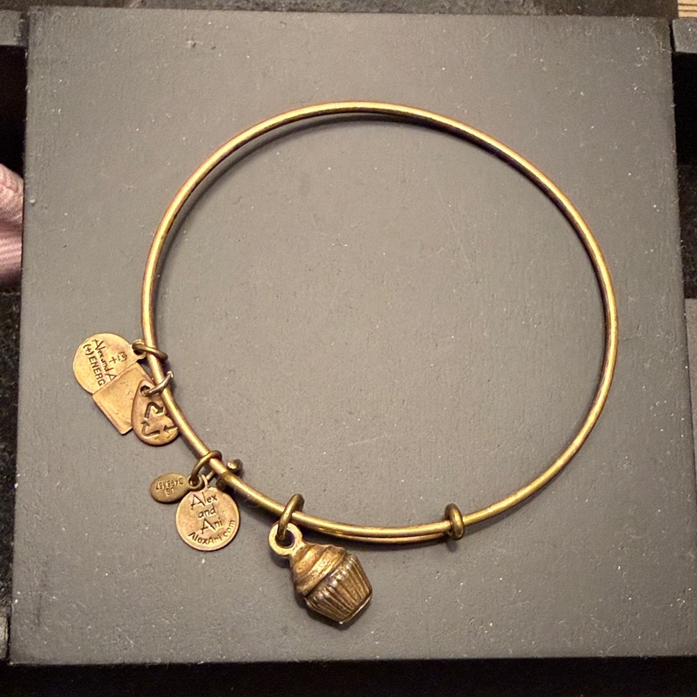 Alex and Ani Gold Charm Bracelet